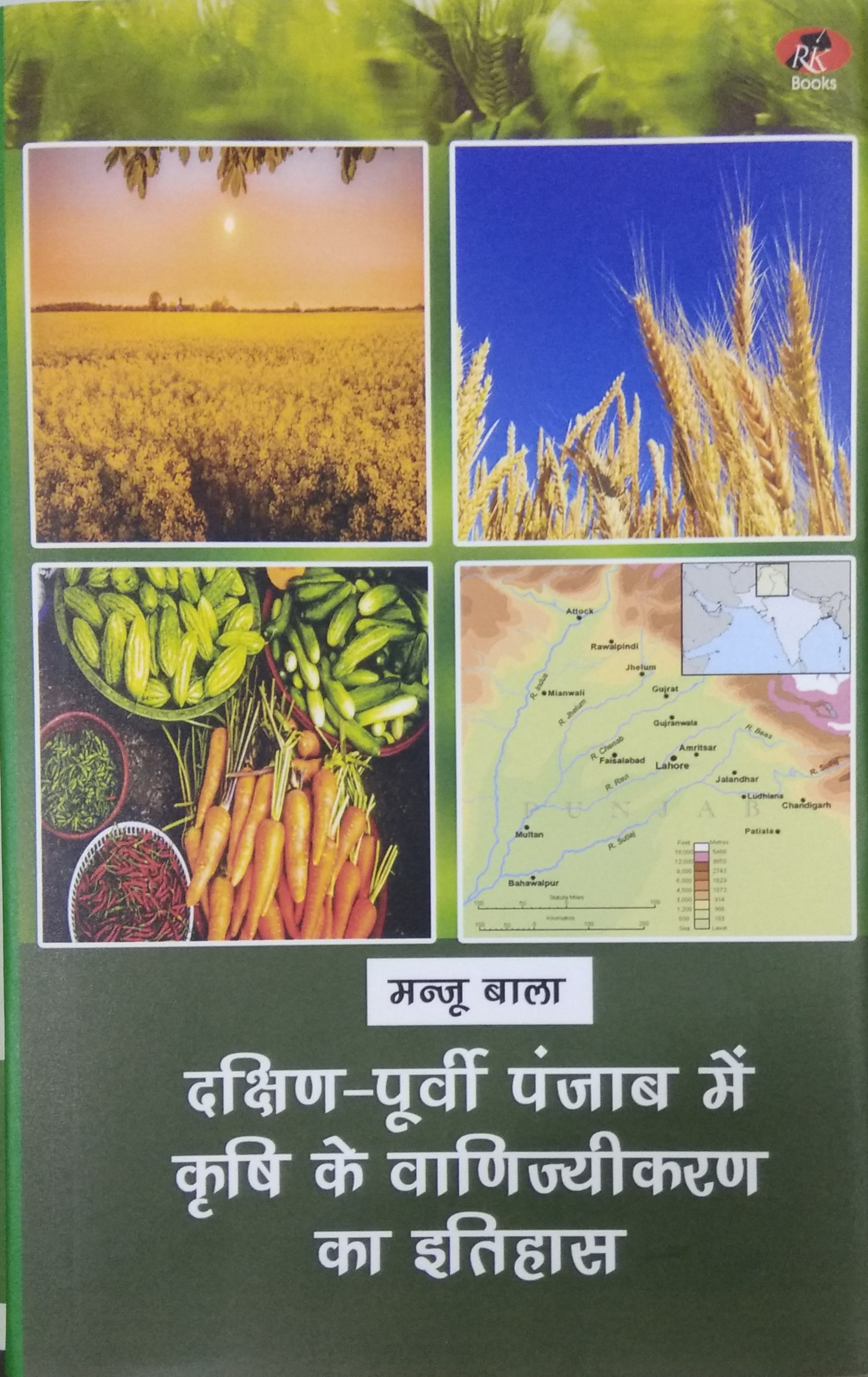 Dakshin-Purvi Punjab me Krishi ke Vanijiyakaran ka Itihas (Hindi)