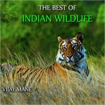 The Best of Indian Wildlife Hardcover
